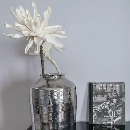 L'anthracite - Proche Opera & Centre-ville Apartament Vichy