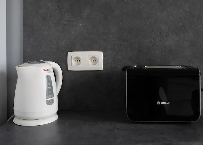 L'anthracite - Proche Opera & Centre-ville Виши