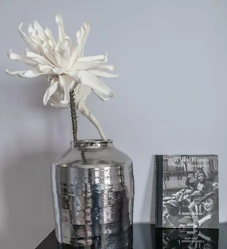 L'anthracite - Proche Opera & Centre-ville Апартаменты Виши